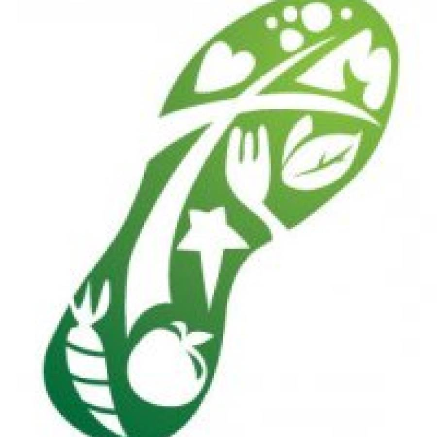 Race Day Nutrition Tips